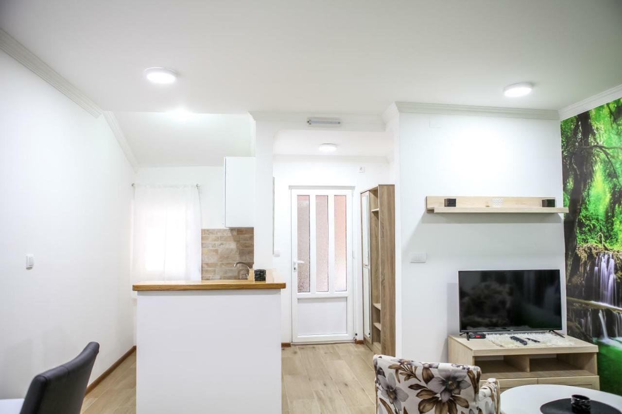Apartman Kaca ツェティニェ エクステリア 写真